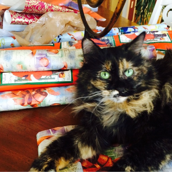 This is my Abigail, Lexi and Crikit - Picture 12 of 13